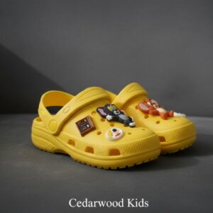 Kids Cartoon Charm Clogs